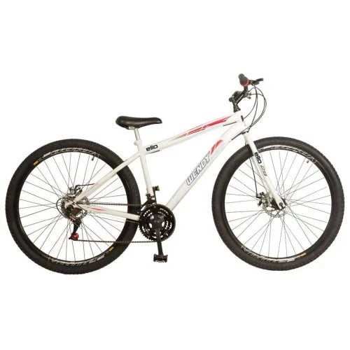 Bicicleta Aro 29 Freio à Disco 21 m. Wendy